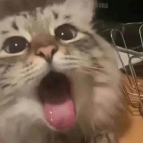 Ảnh chế vắt cực khô