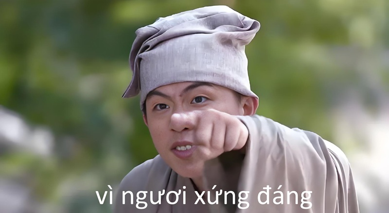 Ảnh vì bạn xứng đáng troll bạn