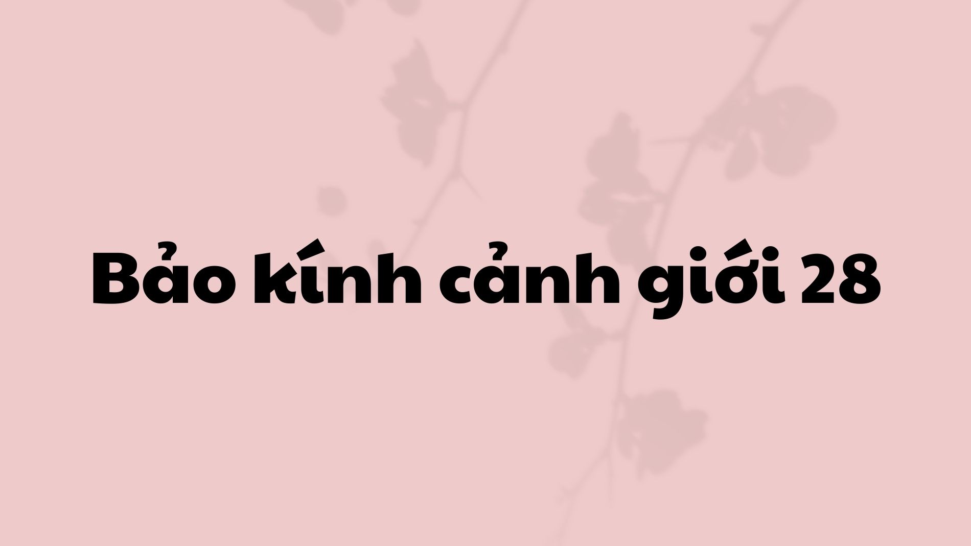 Bảo kính cảnh giới 28