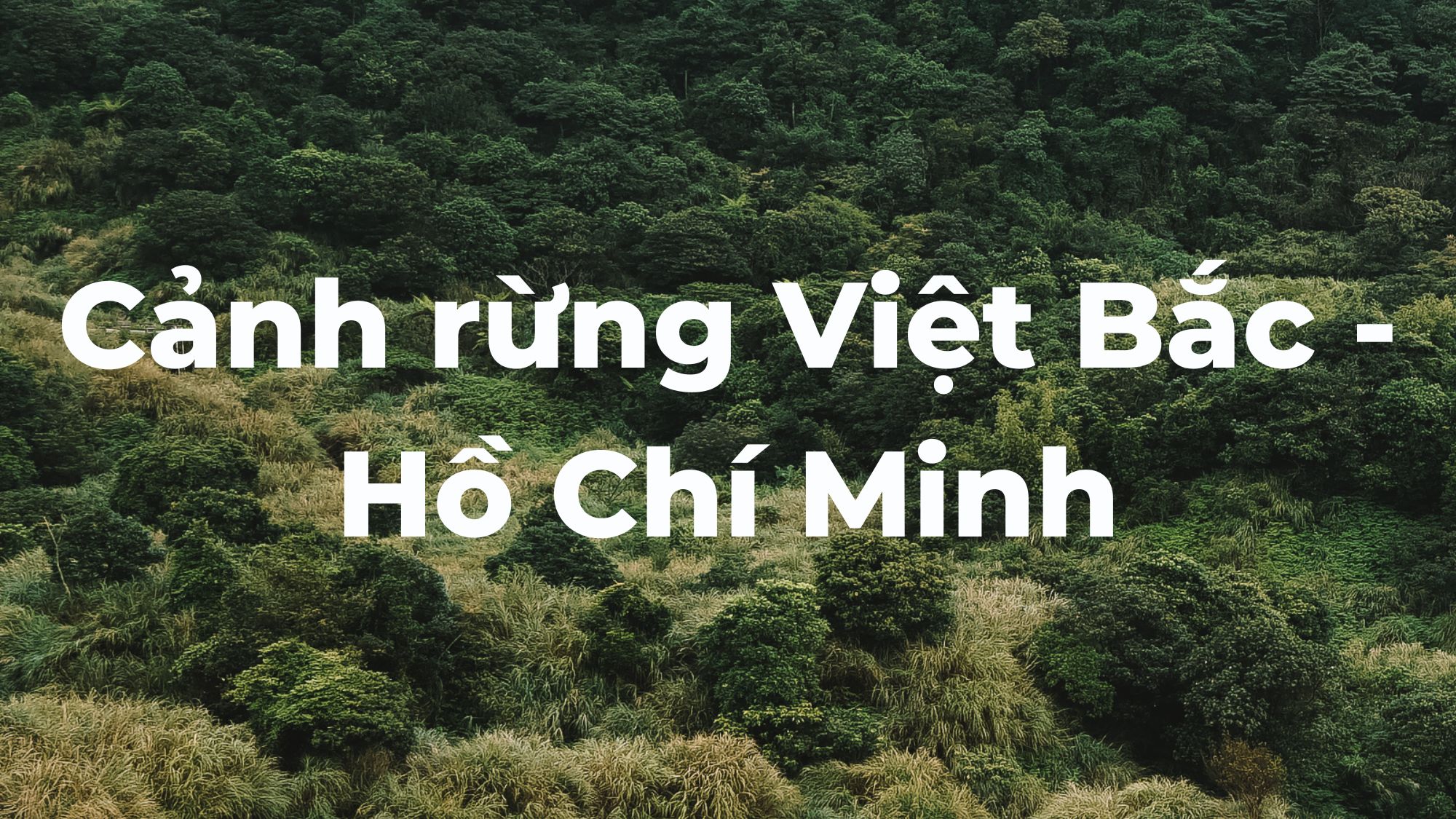 Cảnh rừng Việt Bắc Hồ Chí Minh
