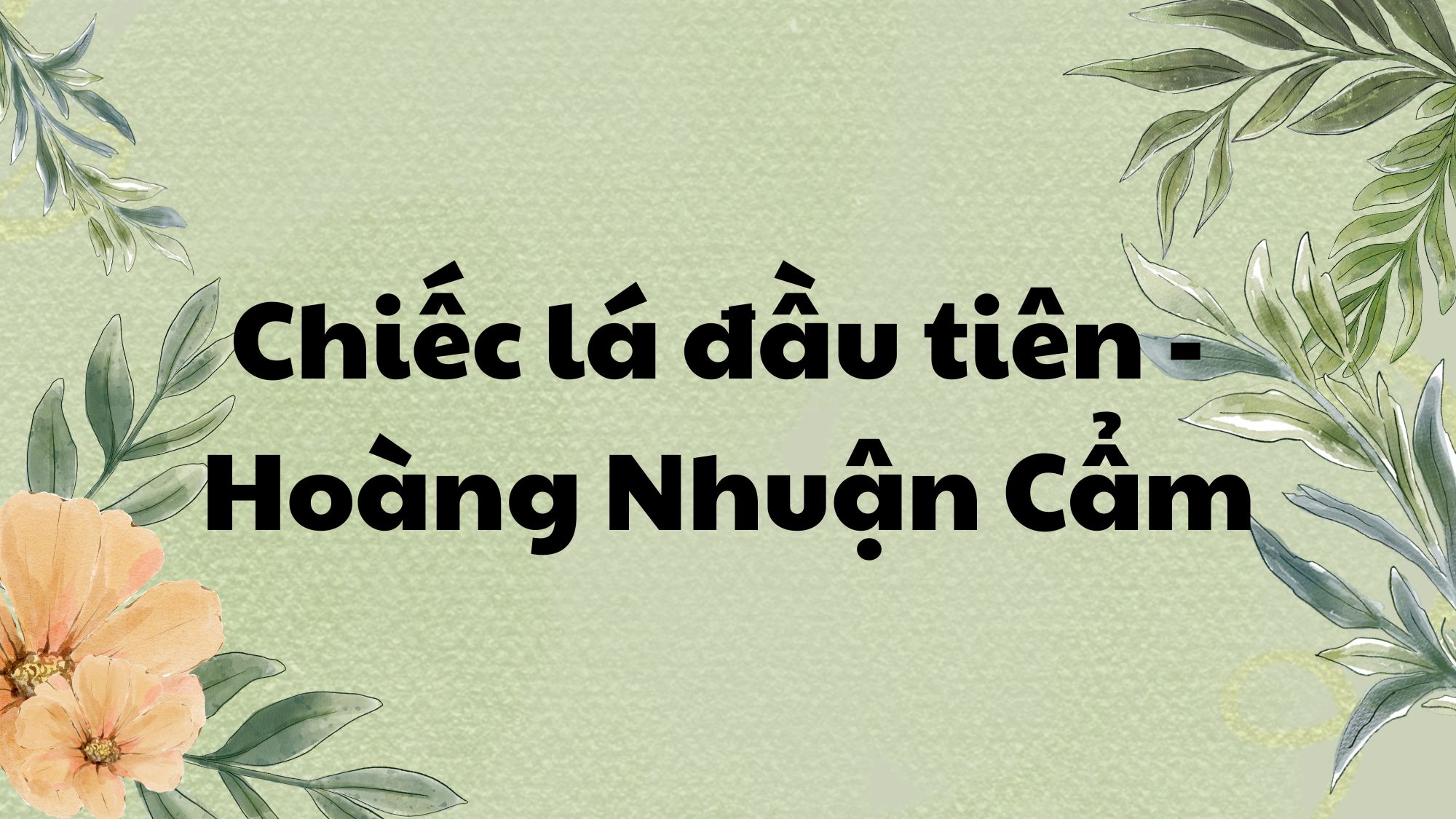 Chiếc lá đầu tiên Hoàng Nhuận Cầm