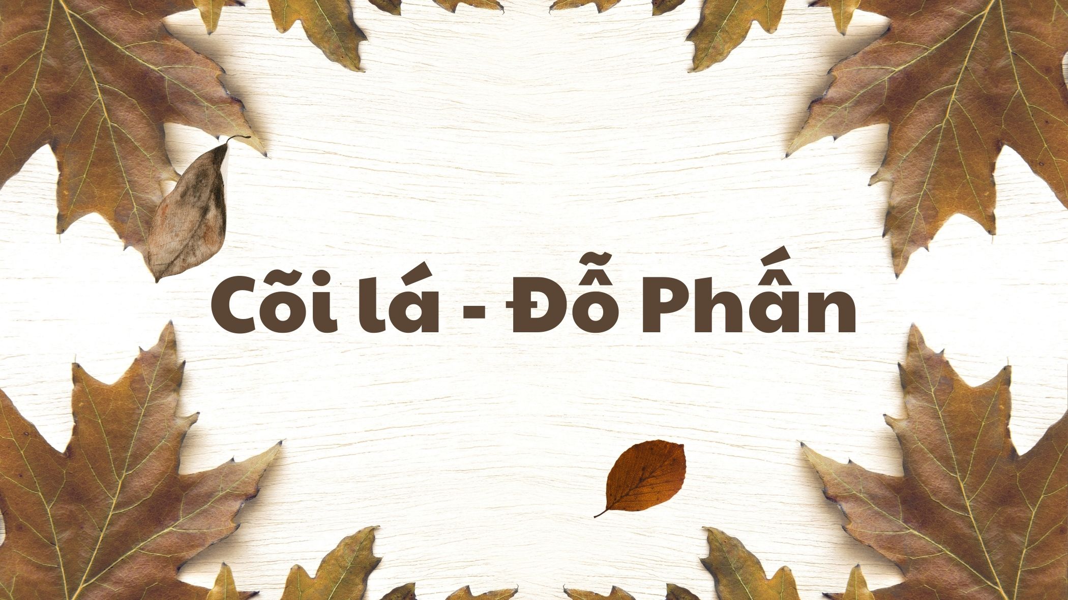 cõi lá đỗ phấn