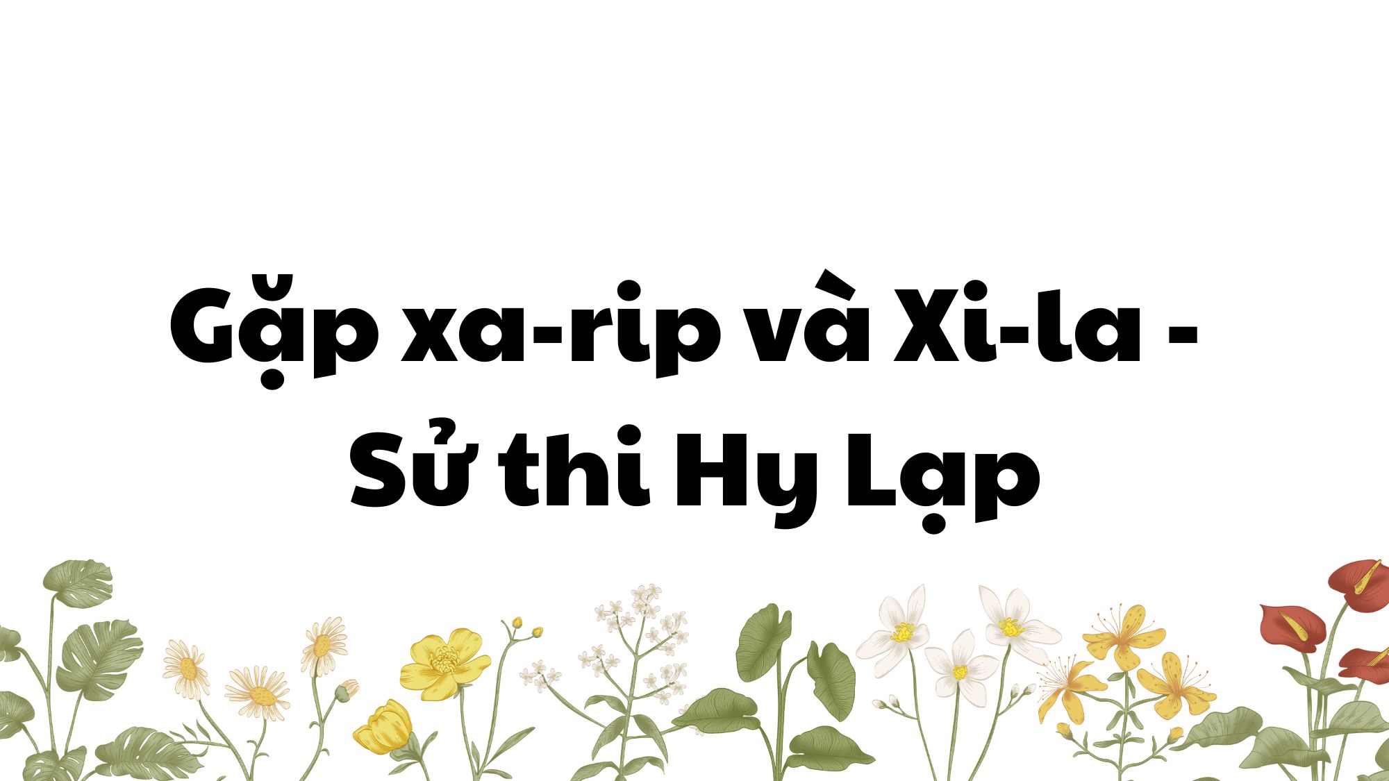 Gặp Ka-ríp và Xi-la sử thi Hy Lạp