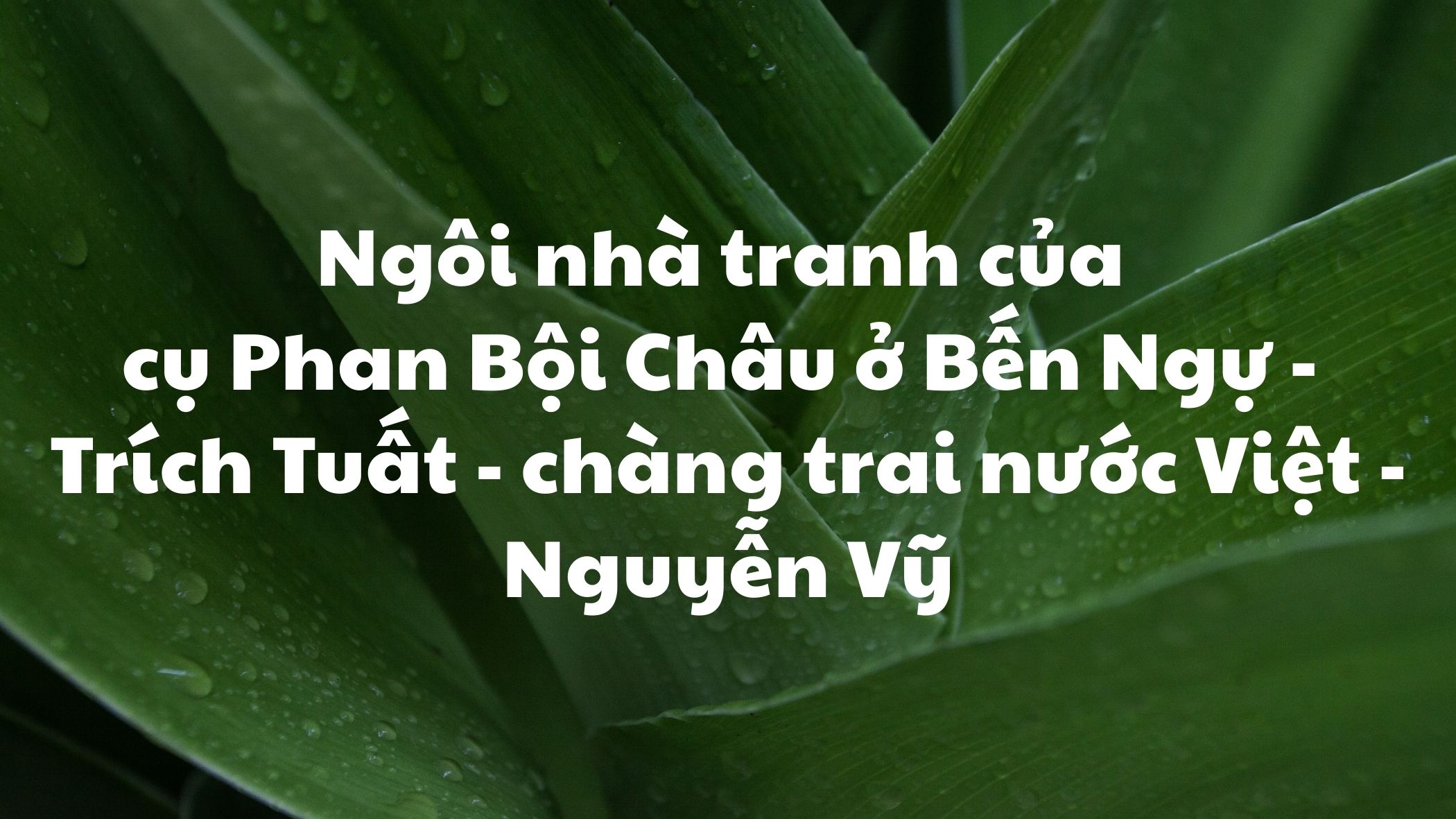 Ngôi nhà tranh của cụ Phan Bội Châu ở Bến Ngự Trích Tuất - chàng trai nước Việt - Nguyễn Vỹ