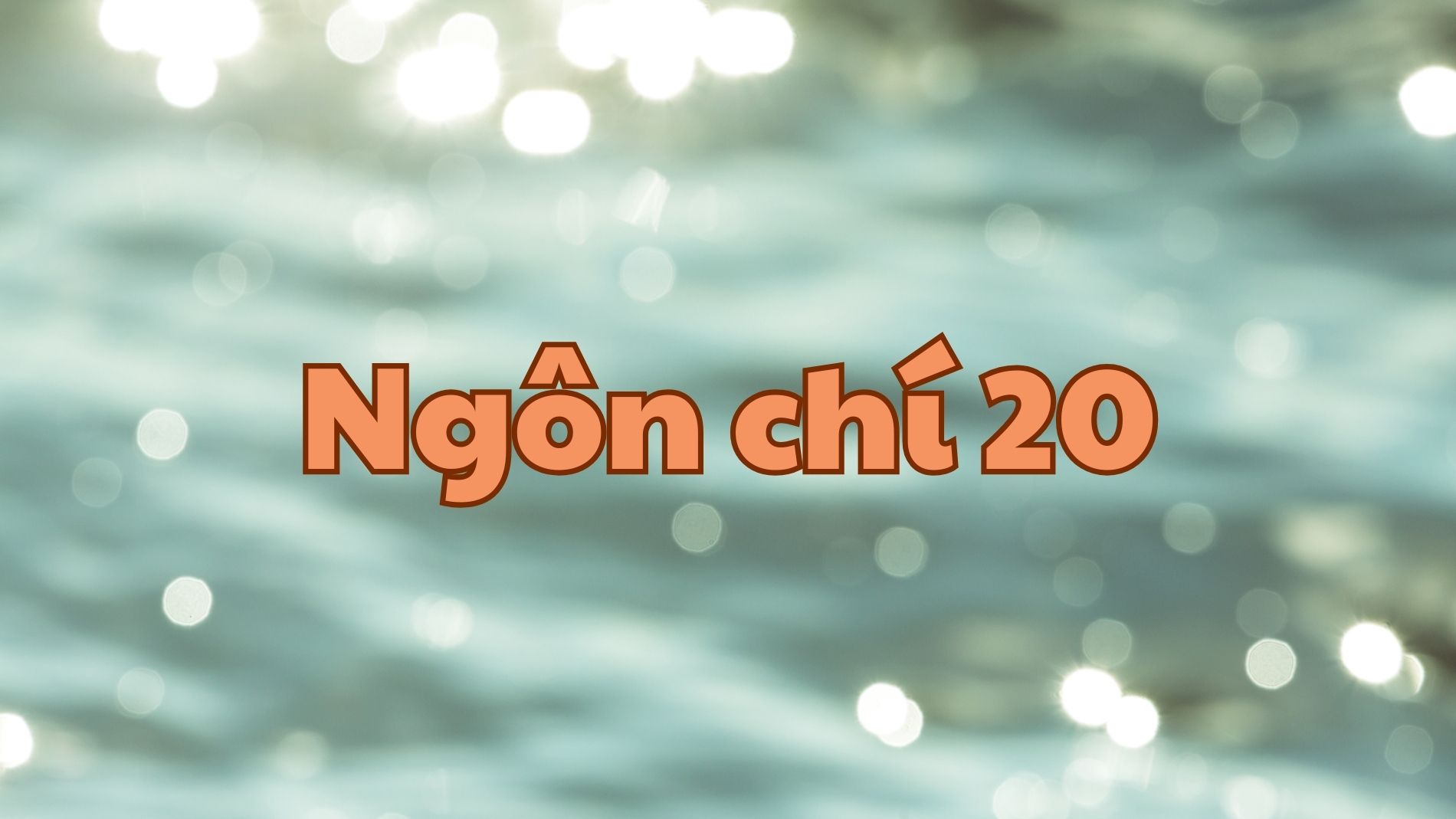 Ngôn chí 20