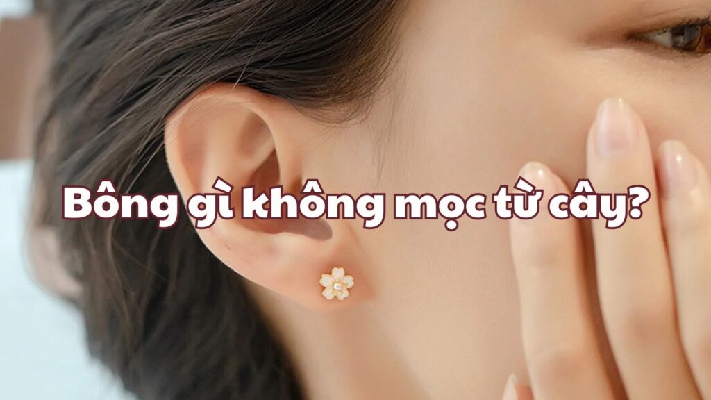 Bông gì không mọc từ cây?
