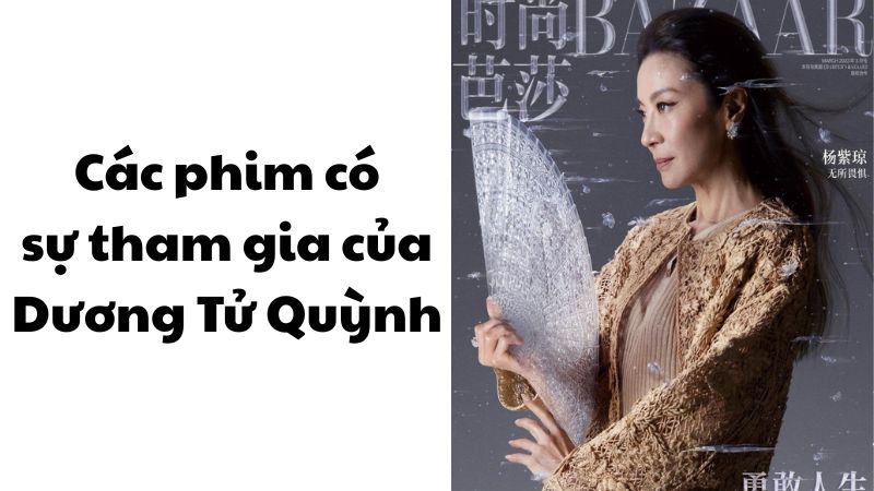 Các phim có sự tham gia của Dương Tử Quỳnh