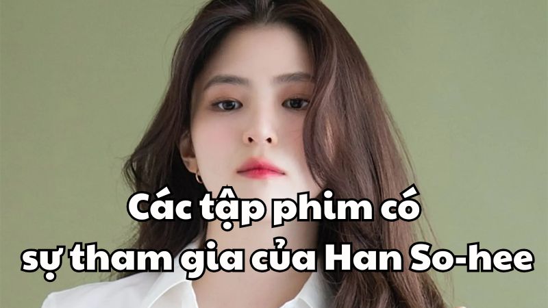 Các tập phim có sự tham gia của Han So-hee