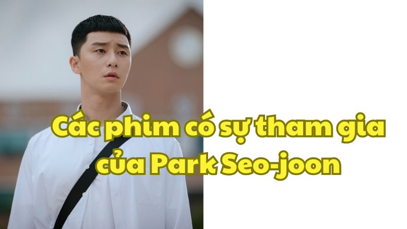 Các phim có sự tham gia của Park Seo-joon