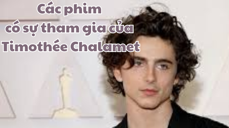 Các phim có sự tham gia của Timothée Chalamet