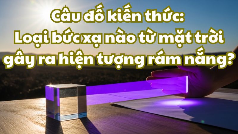 Câu đố kiến thức: Loại bức xạ nào từ mặt trời gây ra hiện tượng rám nắng?