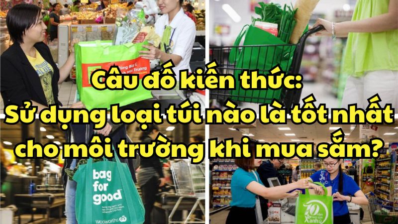 Câu đố kiến thức: Sử dụng loại túi nào là tốt nhất cho môi trường khi mua sắm?
