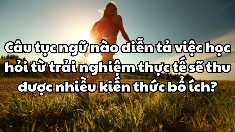 Câu tục ngữ nào diễn tả việc học hỏi từ trải nghiệm thực tế sẽ thu được nhiều kiến thức bổ ích?