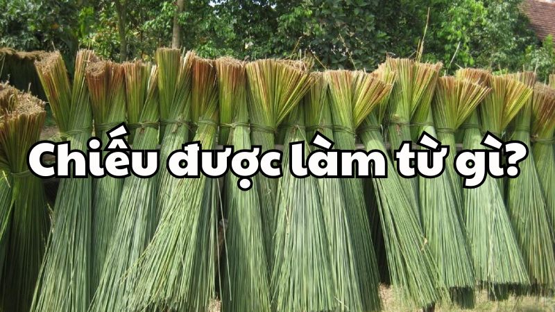 Chiếu được làm từ gì?