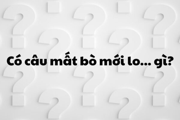 Có câu "mất bò mới lo..."gì?