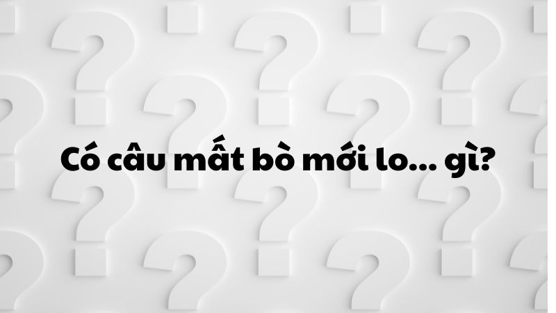 Có câu "mất bò mới lo..."gì?