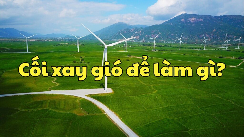 Cối xay gió để làm gì?
