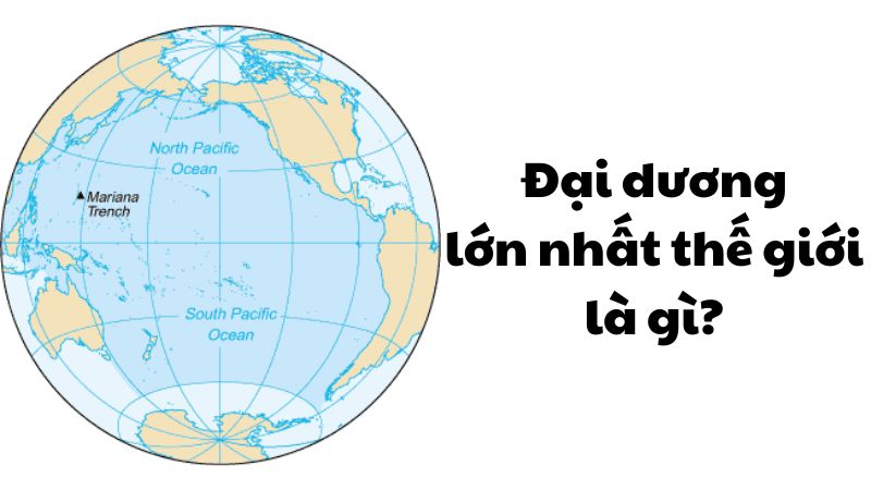 Đại dương lớn nhất thế giới là gì?