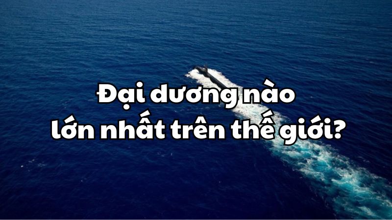 Đại dương nào lớn nhất trên thế giới?