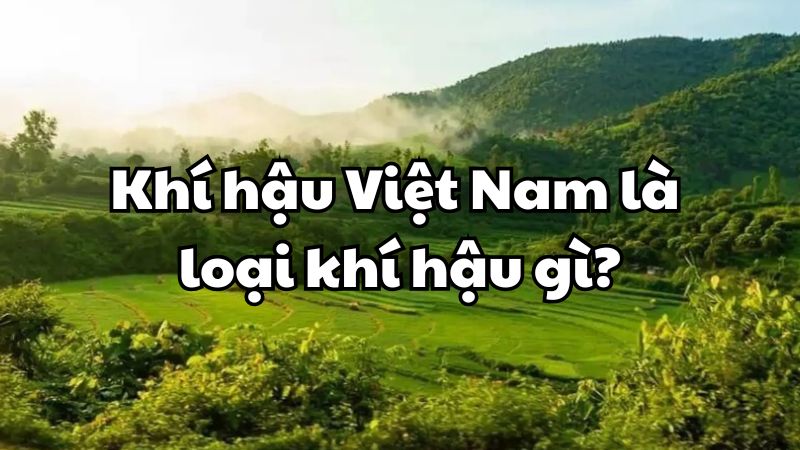 Khí hậu Việt Nam là loại khí hậu gì?