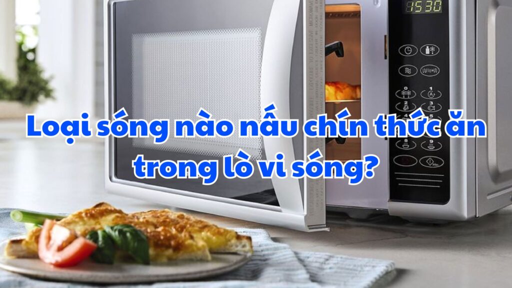 Loại sóng nào nấu chín thức ăn trong lò vi sóng?