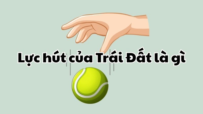 Lực hút của Trái Đất là gì?