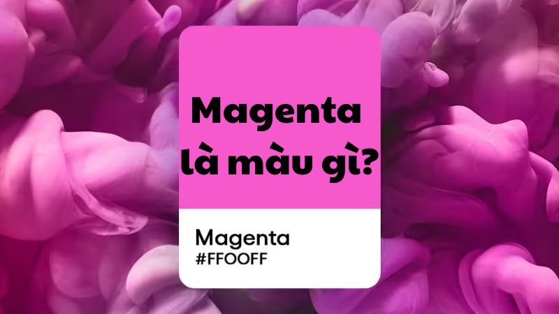 Magenta là màu gì?
