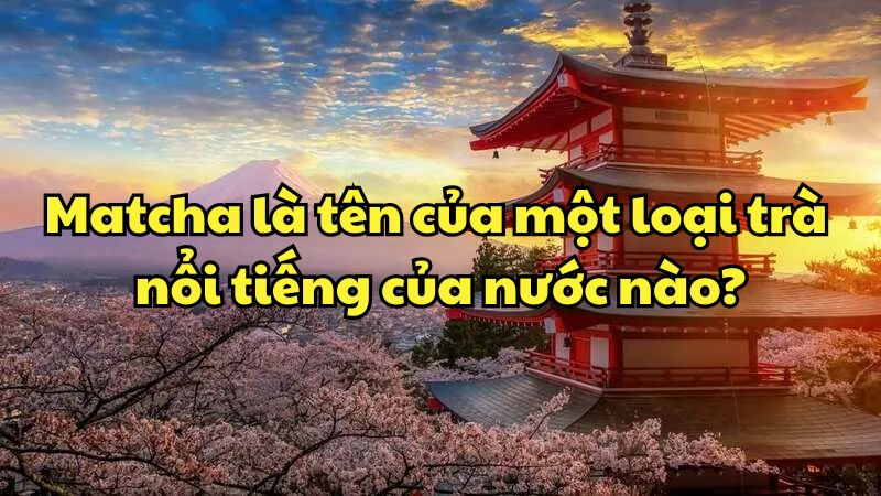 Matcha là tên của một loại trà nổi tiếng của nước nào?