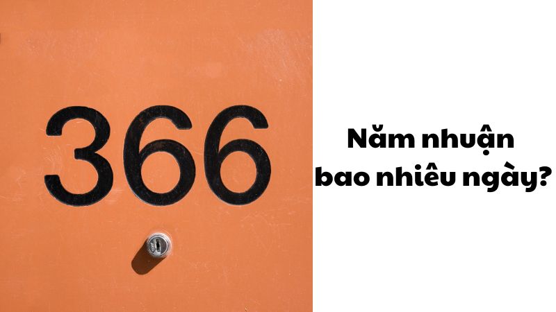 Năm nhuận bao nhiêu ngày?