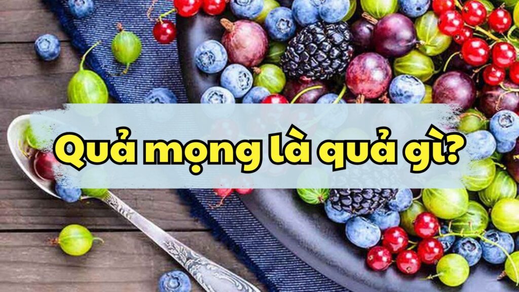 Quả mọng là quả gì?