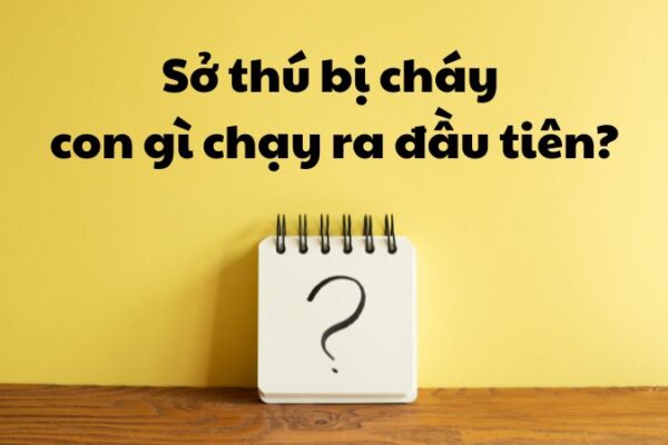 Sở thú bị cháy con gì chạy ra đầu tiên?