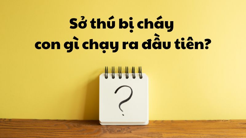 Sở thú bị cháy con gì chạy ra đầu tiên?
