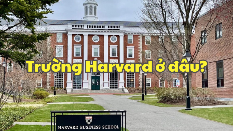 Trường Harvard ở đâu?