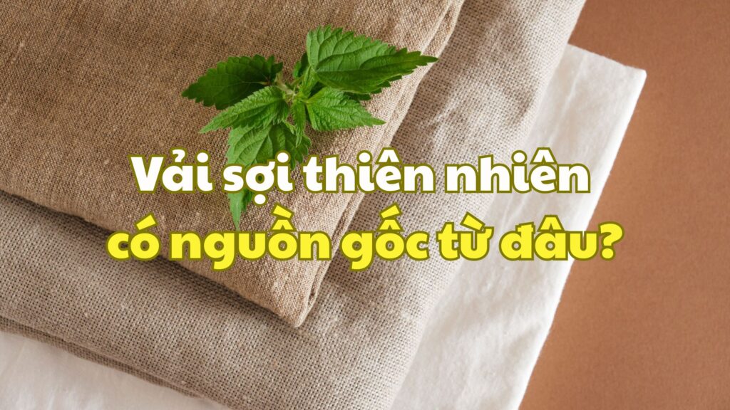 Vải sợi thiên nhiên có nguồn gốc từ đâu?
