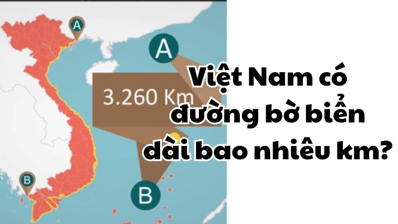 Việt Nam có đường bờ biển dài bao nhiêu km?
