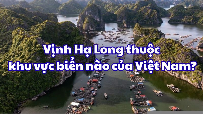 Vịnh Hạ Long thuộc khu vực biển nào của Việt Nam?