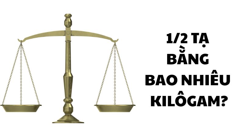 1/2 tạ bằng bao nhiêu kilôgam?
