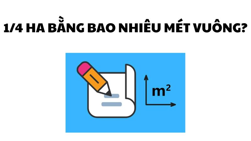 1/4 ha bằng bao nhiêu mét vuông?