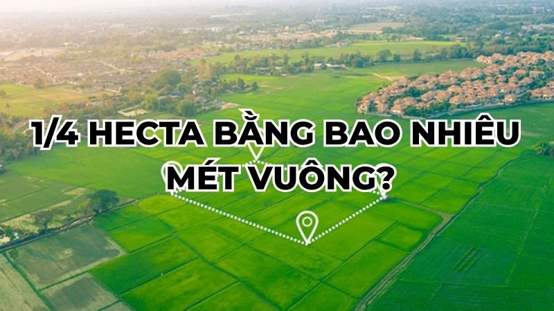 1/4 hecta bằng bao nhiêu mét vuông?