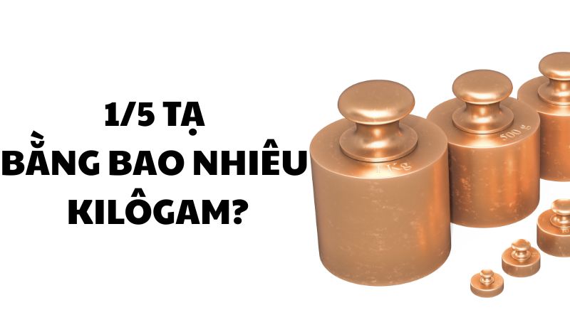 1/5 tạ bằng bao nhiêu kilôgam?