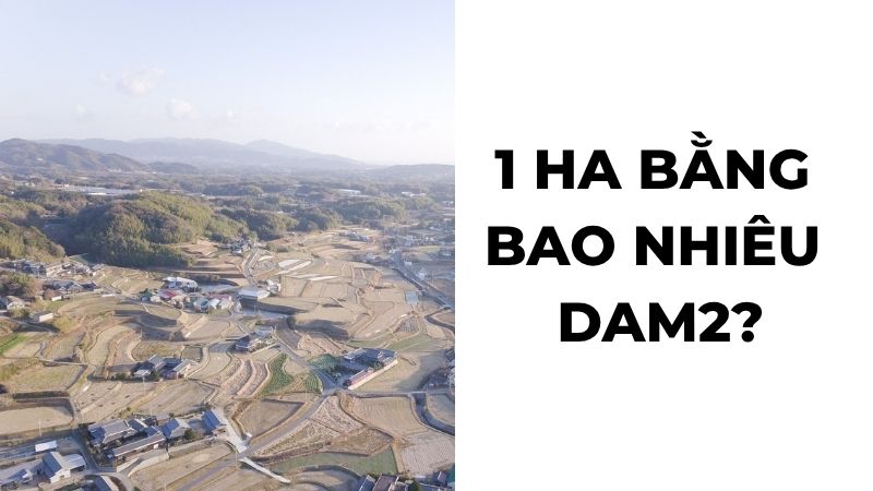 1 ha bằng bao nhiêu dam2?