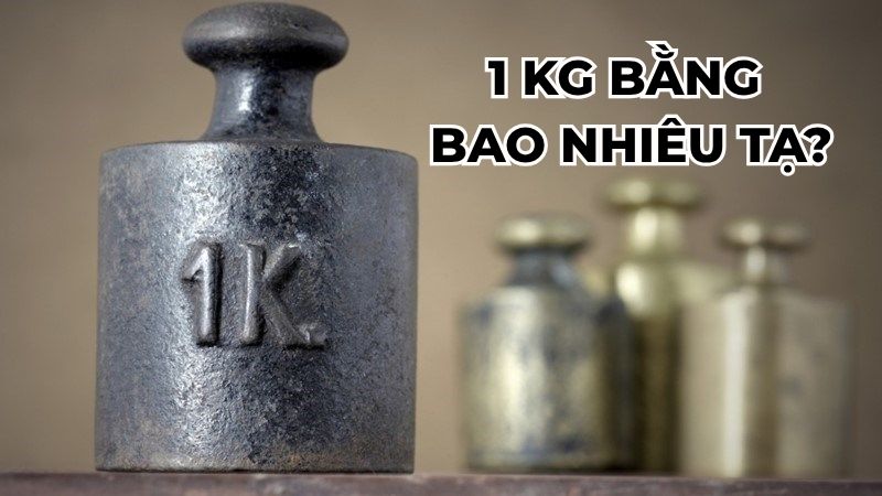 1 kg bằng bao nhiêu tạ?