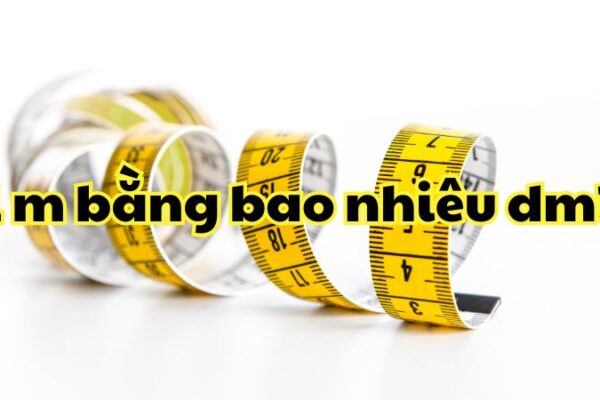 1 m bằng bao nhiêu dm?