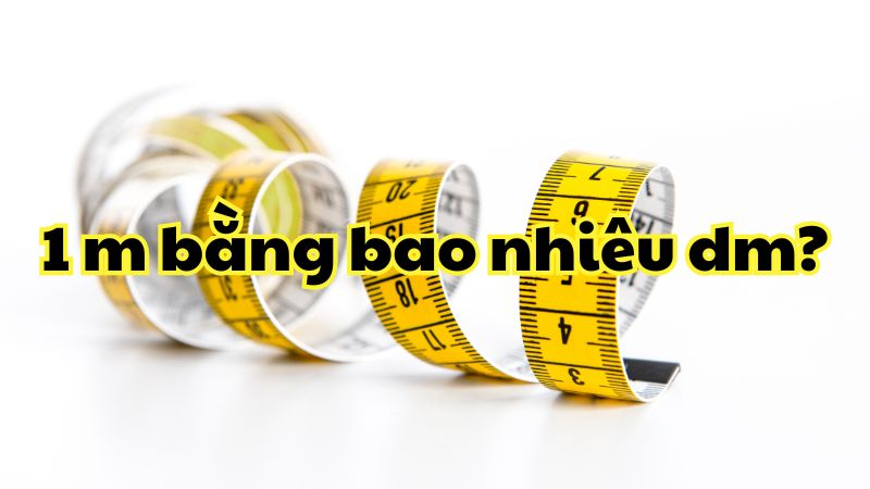 1 m bằng bao nhiêu dm?