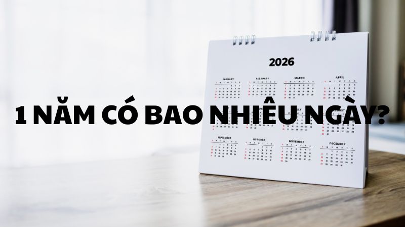 1 năm có bao nhiêu ngày?