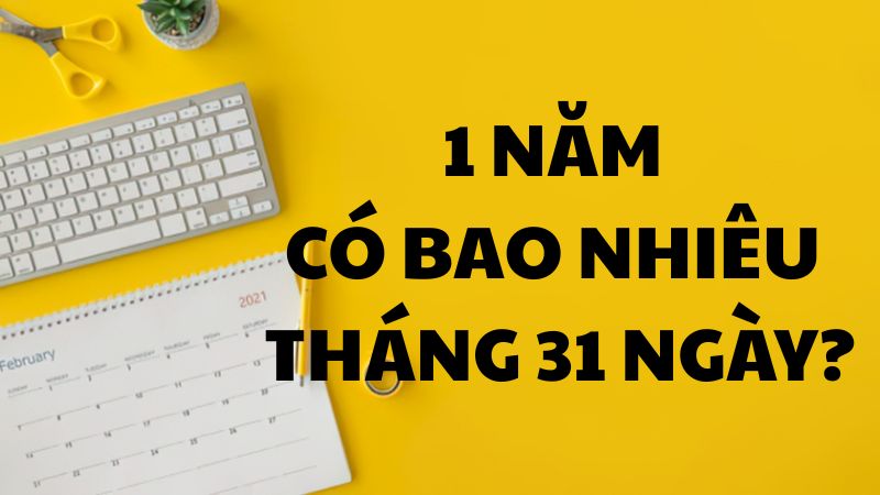 1 năm có bao nhiêu tháng 31 ngày?