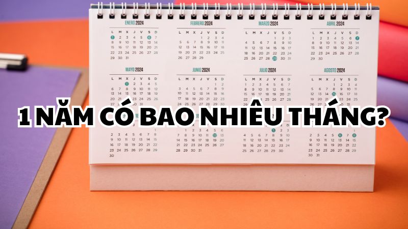 1 năm có bao nhiêu tháng?