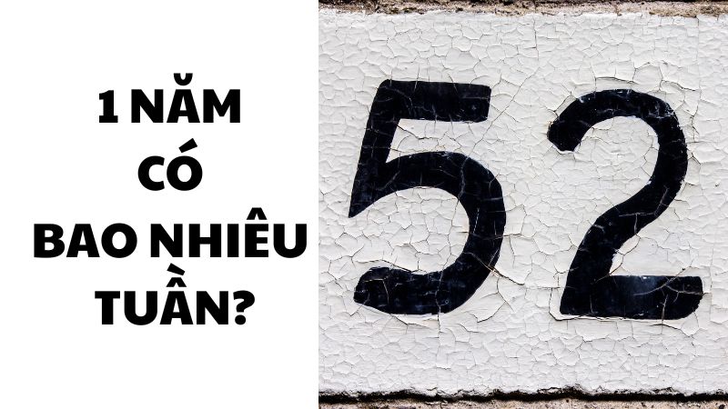 1 năm có bao nhiêu tuần?