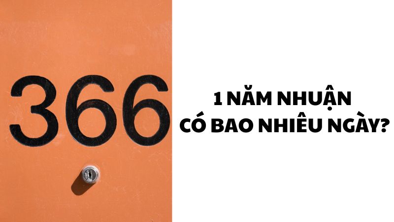 1 năm nhuận có bao nhiêu ngày?