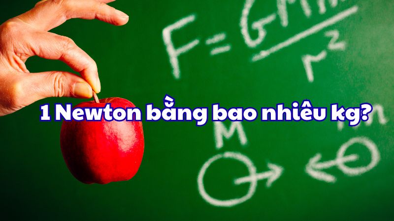 1 Newton bằng bao nhiêu kg?